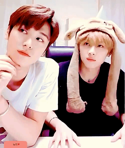 [잡담] 오 나 더보이즈 덥뮤다랑 겹뮤다 신기한 공통점 알아냄 | 인스티즈