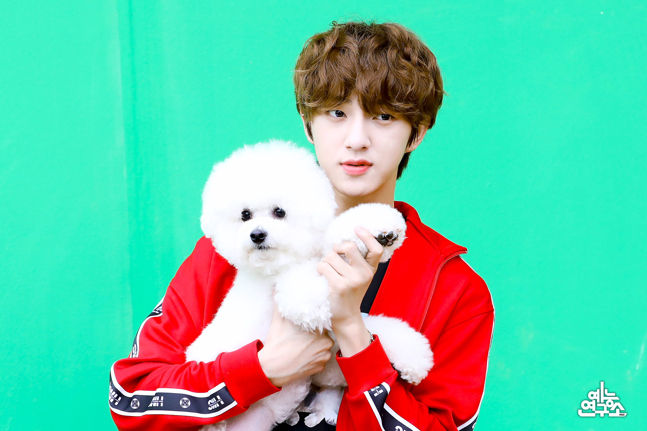 [잡담] 아니 갑자기 코알라는 뭔데 | 인스티즈