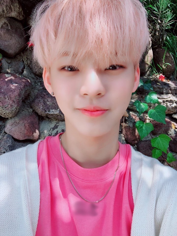 [잡담] 온갖 신기한 머리 다하는 그룹 | 인스티즈