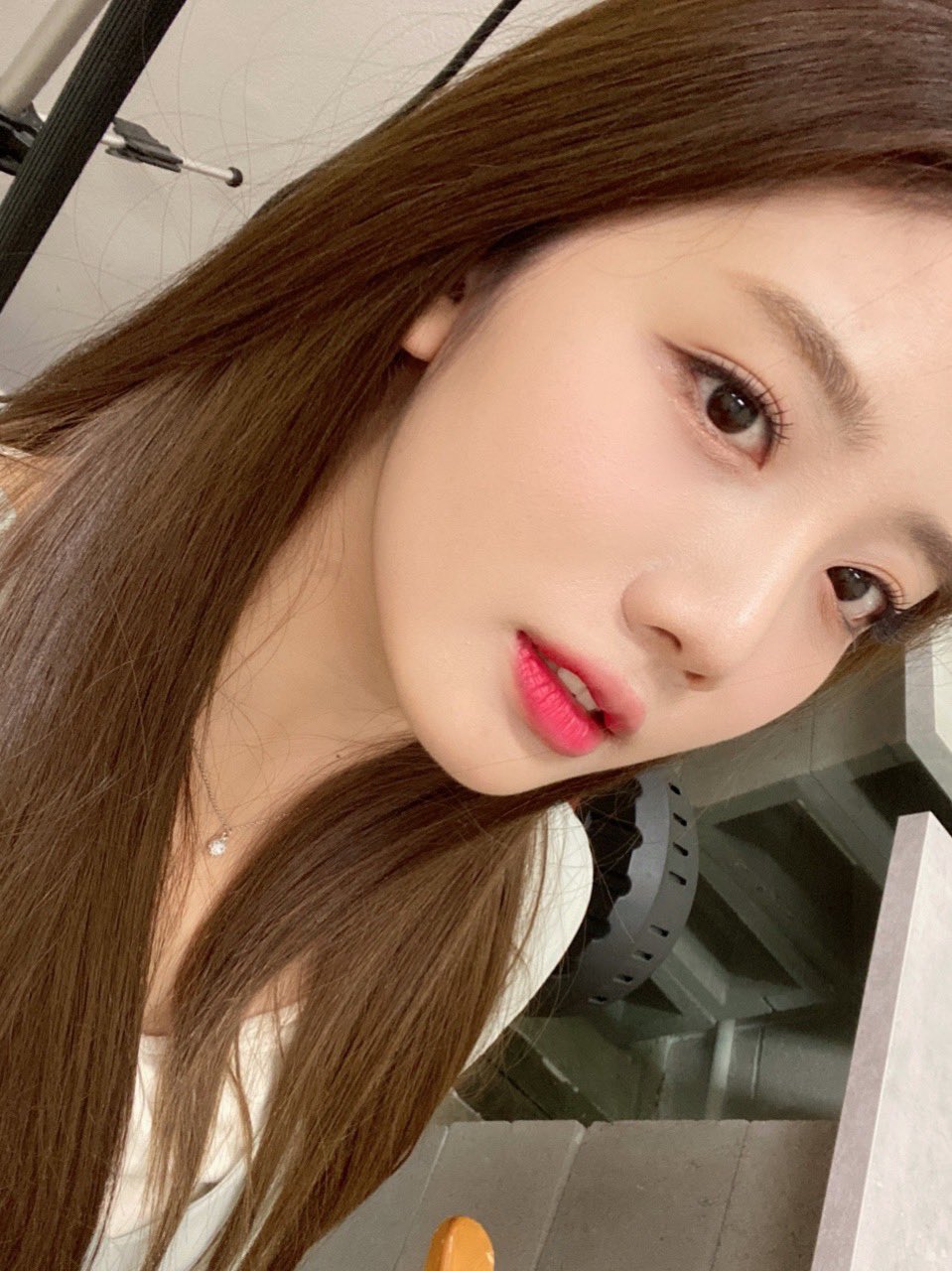 [잡담] 오랜만에 큰방에 유주심기🐶🍒🍒 | 인스티즈