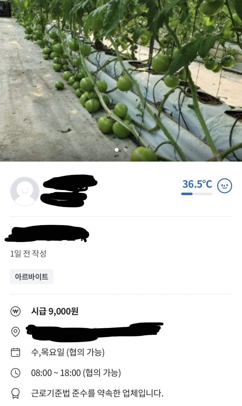 나 토마토 좋아하는데... | 인스티즈