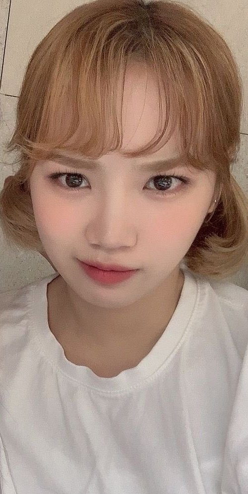 [잡담] 김채원 입술 흉터 | 인스티즈