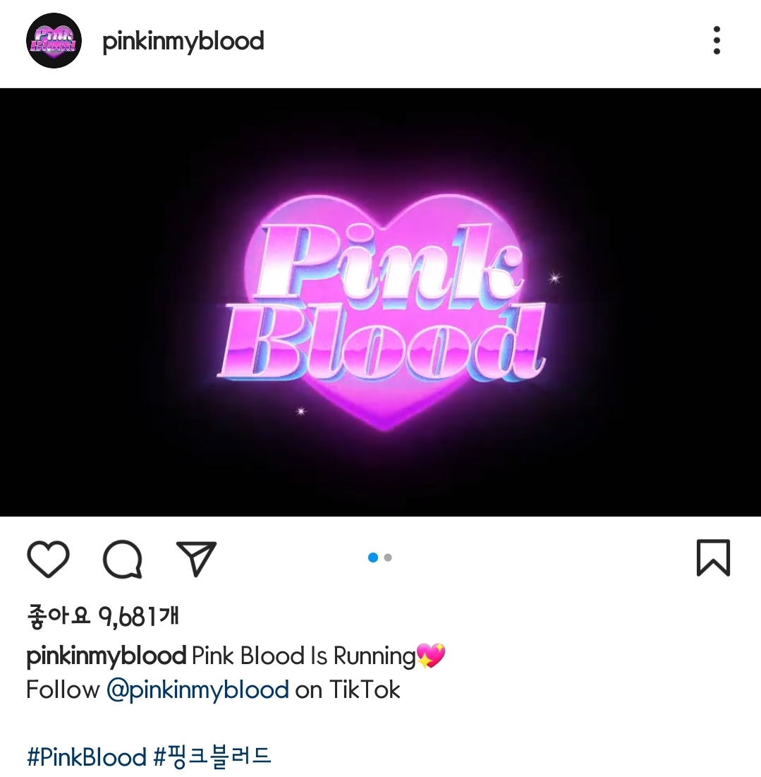 [잡담] 에스엠 웃기네 핑크블러드 팔로우하래ㅋㅋㅋㅋ | 인스티즈