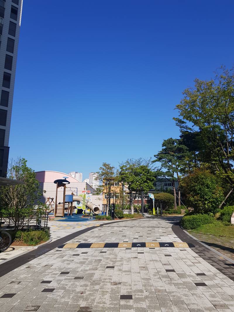 부산 날씨 이 정도면 올해 들어 제일 좋은 것 같은데 | 인스티즈