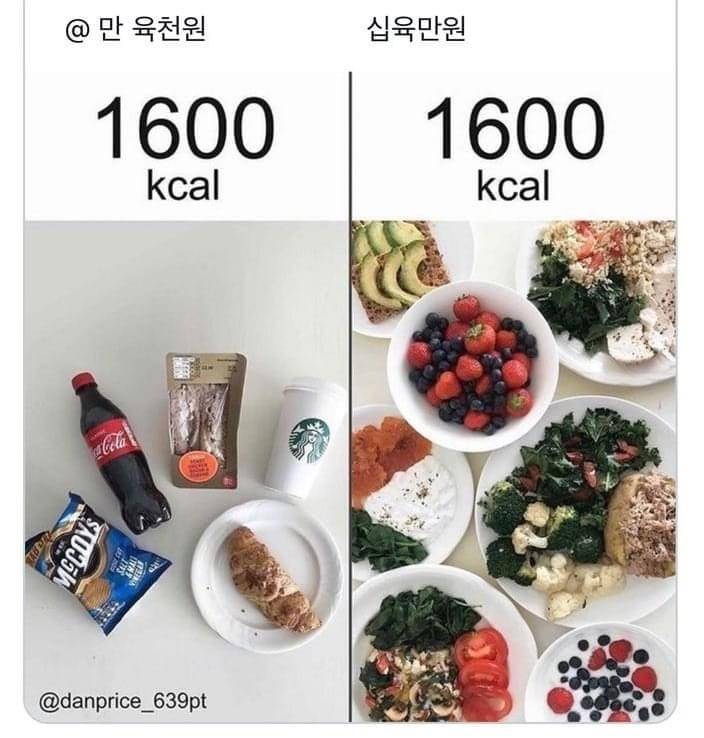 다이어트도 돈있어야할수있나바 | 인스티즈