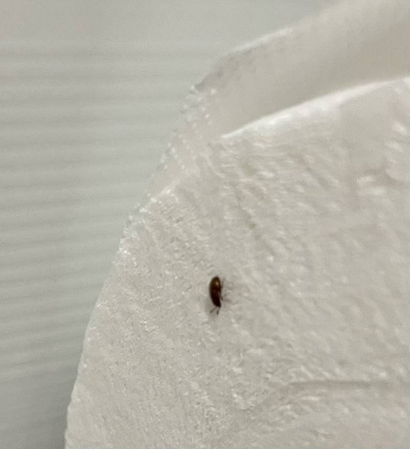 ㅎㅇㅈㅇ 이거 혹시 새끼바선생 ...? | 인스티즈