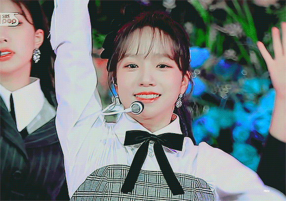 [잡담] 이 강쥐가 너무 보고싶은 밤... | 인스티즈