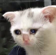 진짜 너무 사랑하는데 갑자기 이별하면 사리분별이 안되나봐.... | 인스티즈