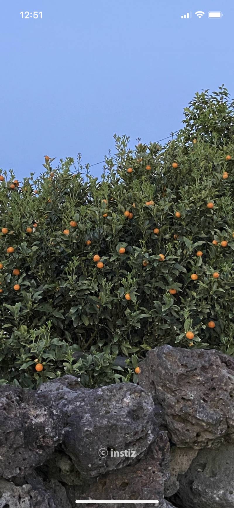 난 인티 켜질때 화면 이거야!! | 인스티즈