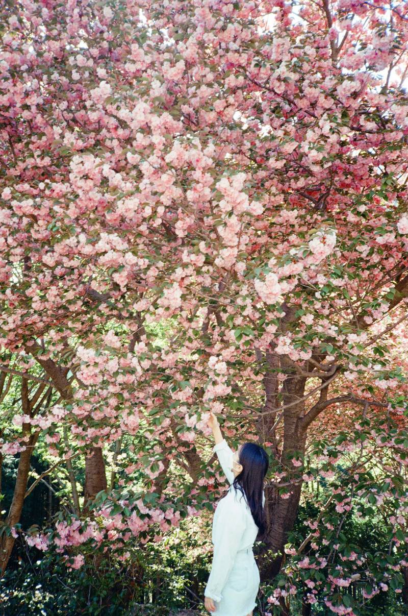 이거 필카로 찍은것 같아?? | 인스티즈