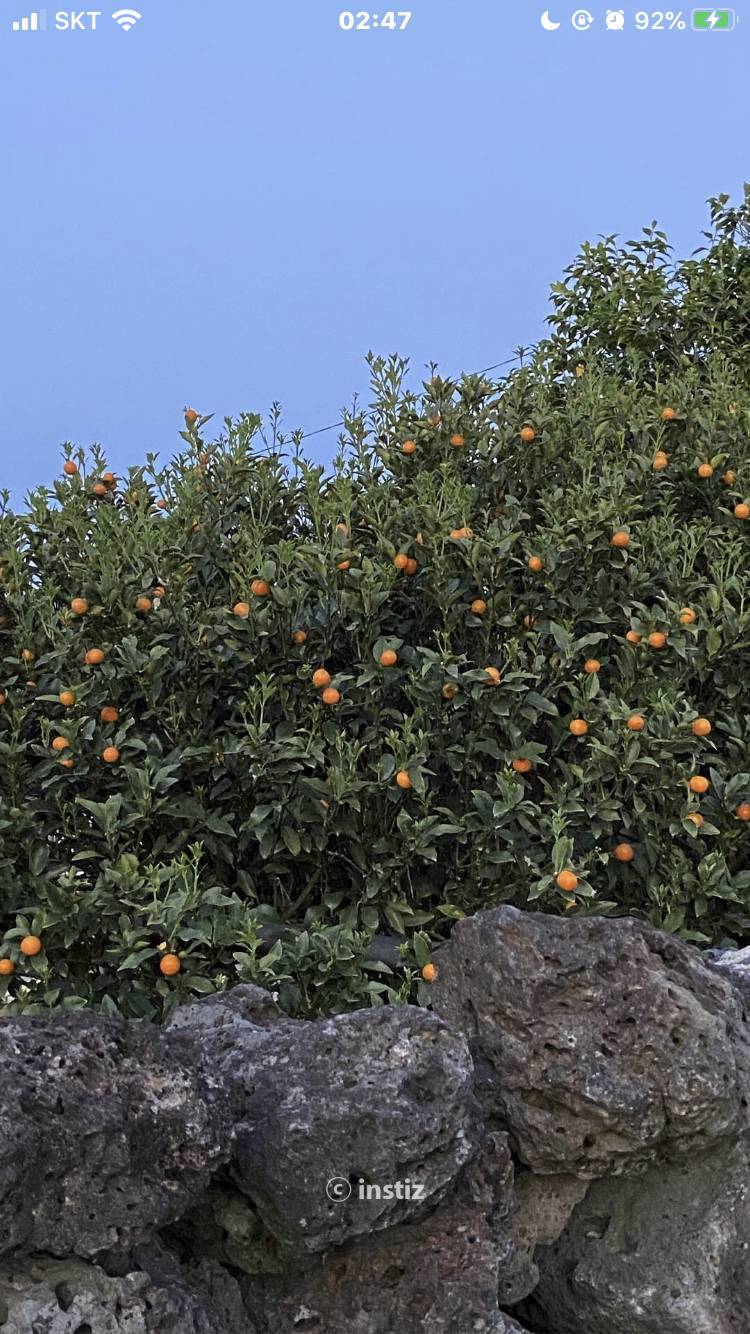 헐 이번 인티 시작화면 짱예뻐 완전 인스타 감성이야 | 인스티즈