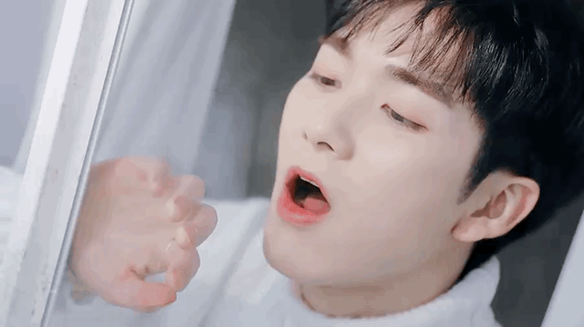 [잡담] 랑들 없네 | 인스티즈