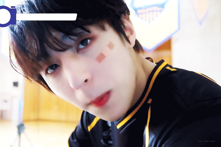 [잡담] 어떤 동물로 보여? | 인스티즈