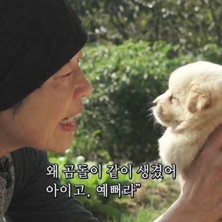 [잡담] 각 그룹 곰돌이 자랑하고 가라~ | 인스티즈