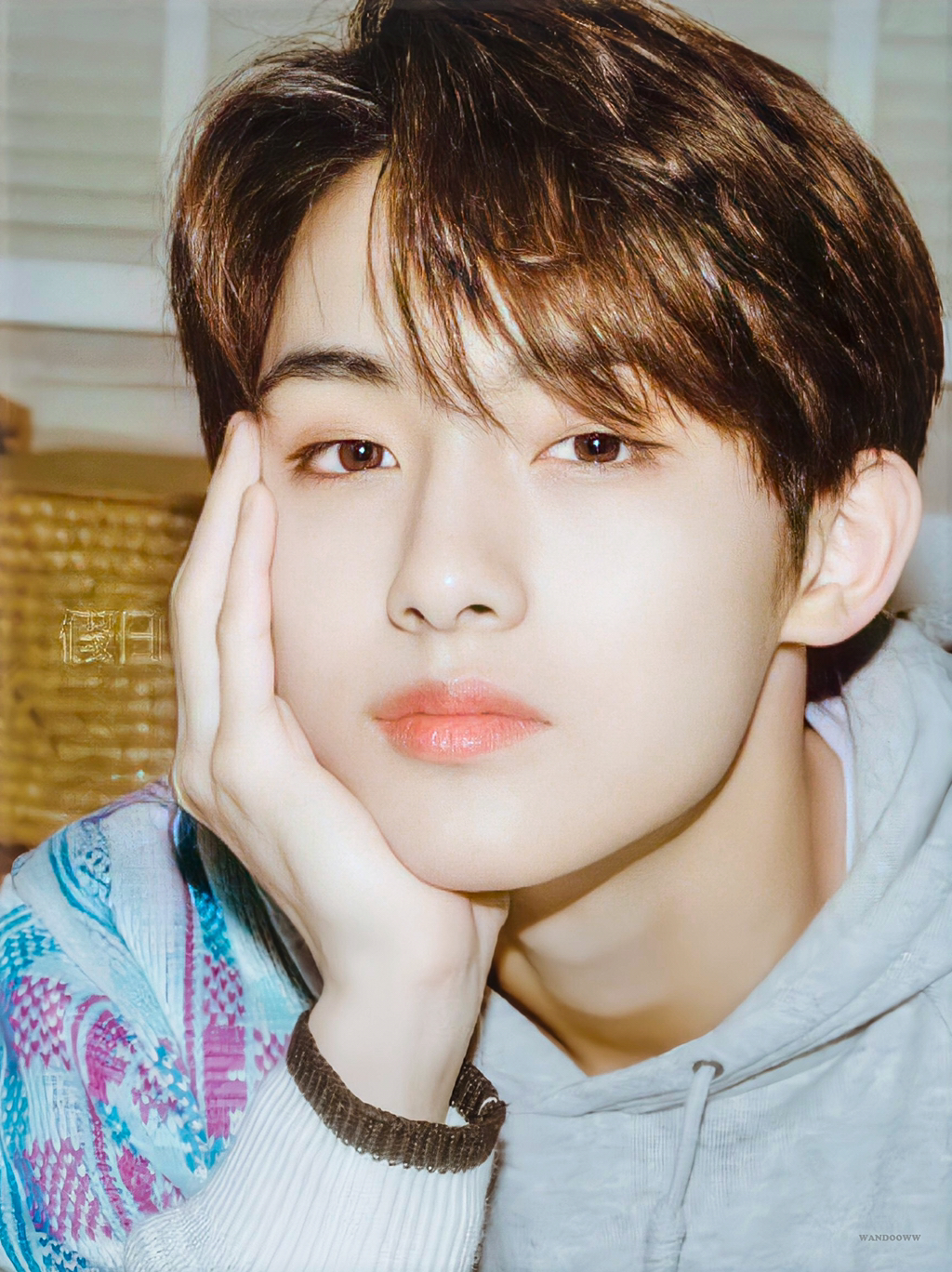 [잡담] 이 구역에서 나만한 소나무 없을 듯ㅋㅋㅋㅋㅋㅋ | 인스티즈