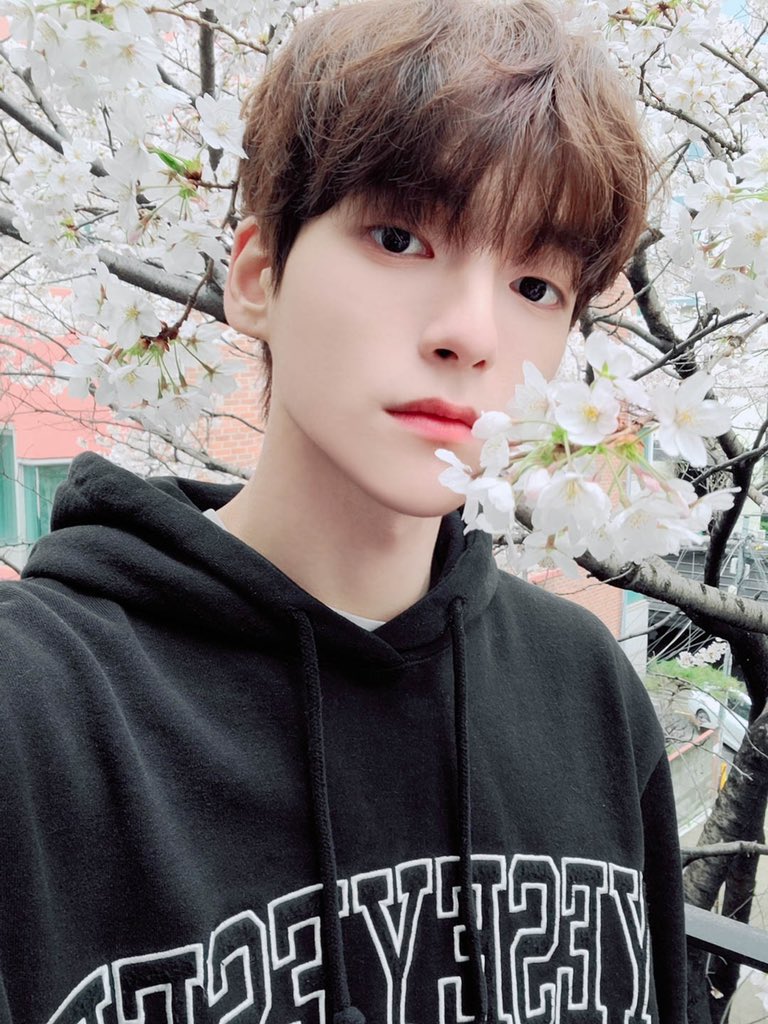 [잡담] 어떤 동물 닮았는지 말해주고 가〰 | 인스티즈