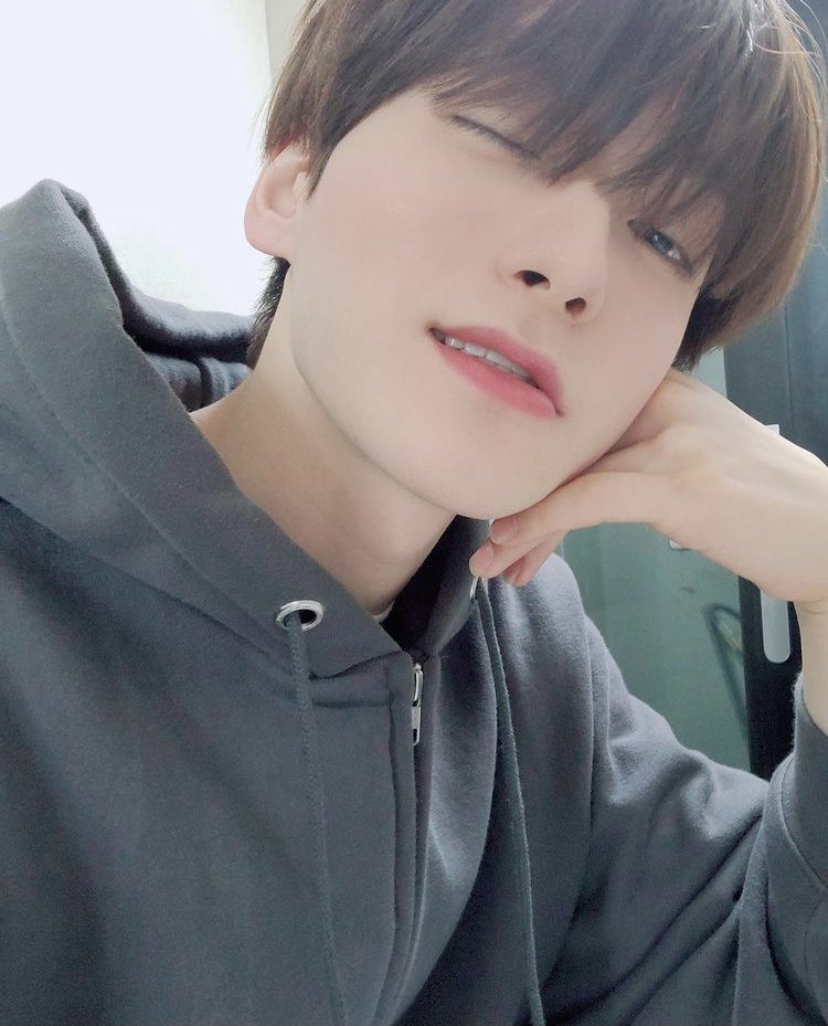 [잡담] 어떤 동물 닮았는지 말해주고 가〰 | 인스티즈