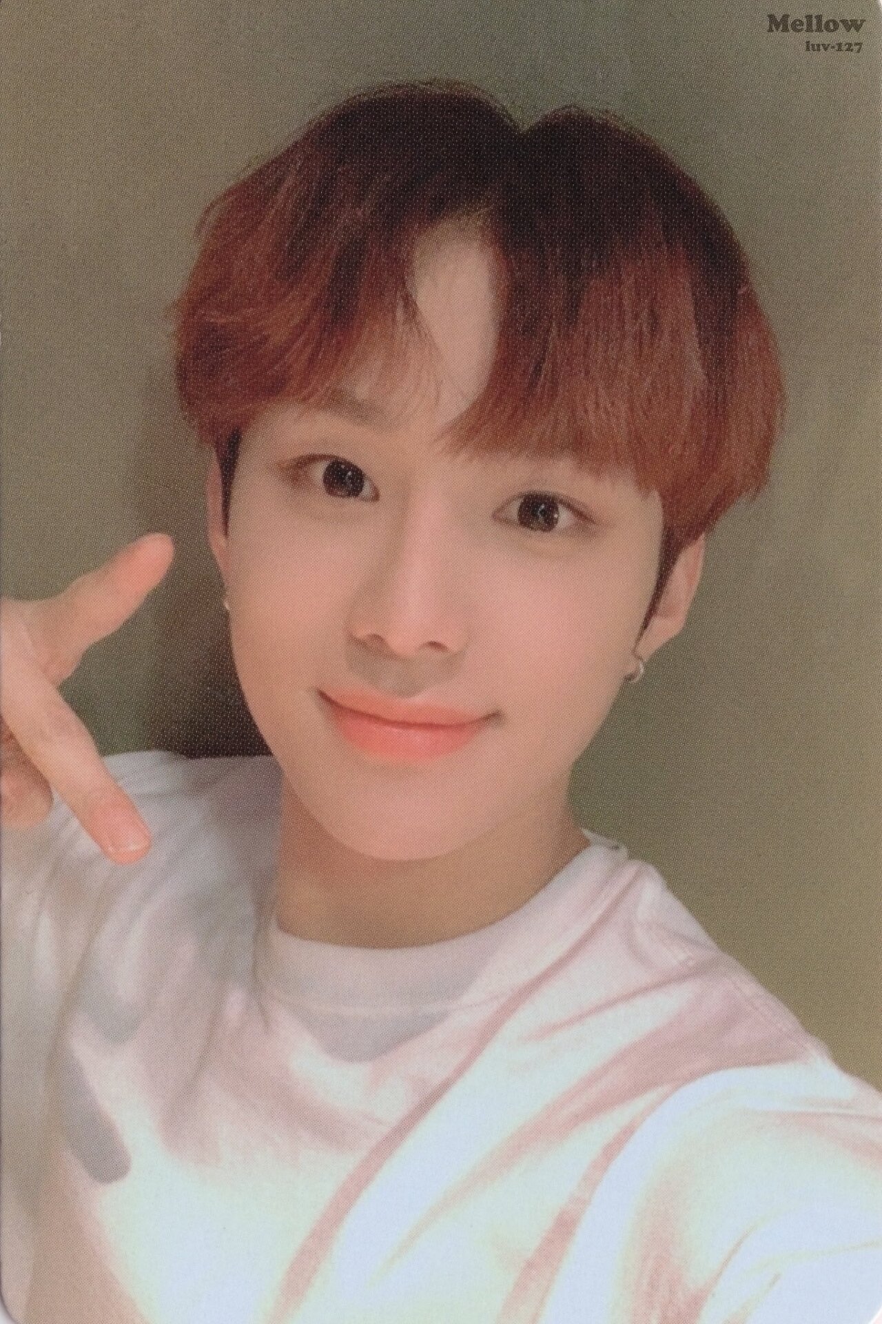 [잡담] 타팬들 눈이 정확하다며? 골라주라ㅠㅠ | 인스티즈