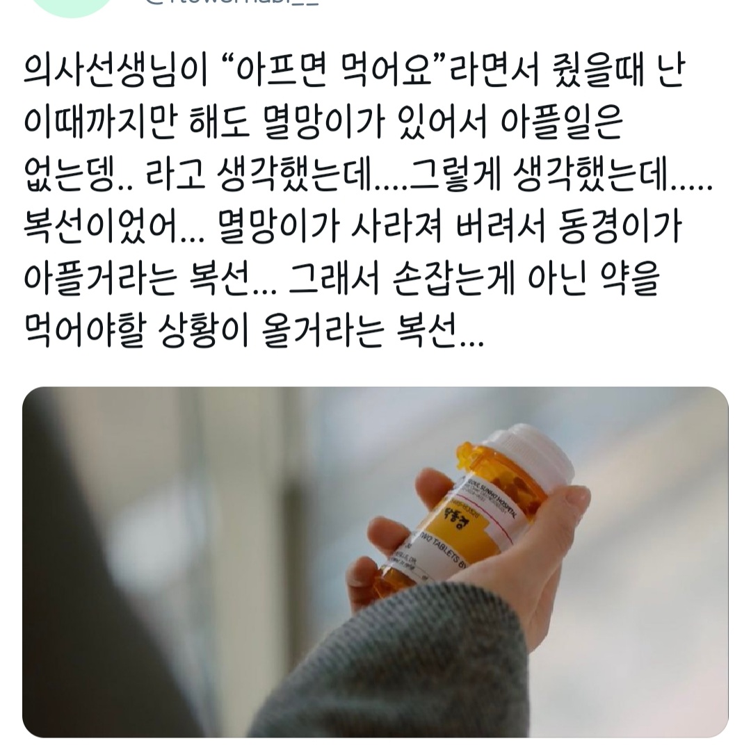 [잡담] 멸망러들아 나만 동경이 약 복선 이제본거니 | 인스티즈