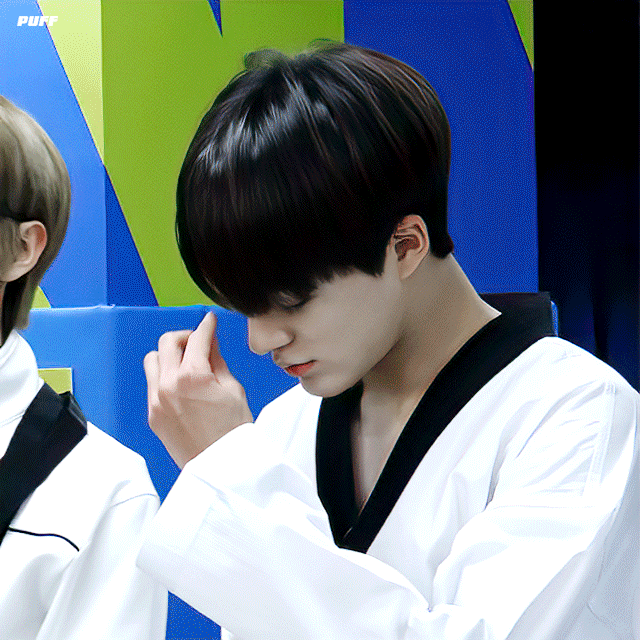 [잡담] 타팬들이 봤을 때 제노는 사모예드 vs 허스키???궁금해 | 인스티즈