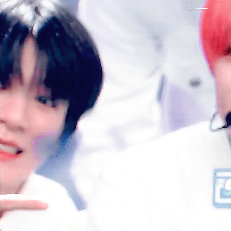 [잡담] 엥 무대에 강아지가 올라와도 되나??ㅈㅇ 엔시티 드림 제노 | 인스티즈