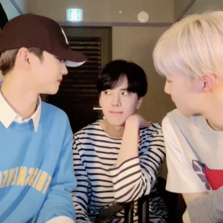 [잡담] 뽀둥보이즈❤️ | 인스티즈