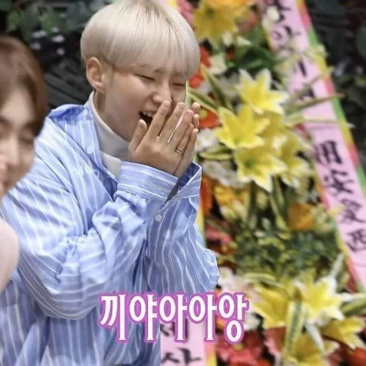 [잡담] 이야아아ㅏㅏ 오늘 원우민규 디싱 나오는거 너무 씬!!!!!!나!!!!!!!!!!!! | 인스티즈