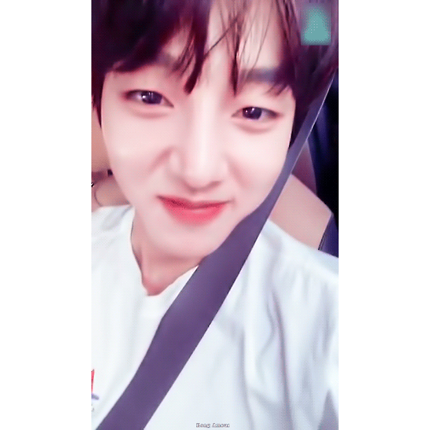 [잡담] 타팬이 보기에는 어떤 동물인 것 같아??? | 인스티즈