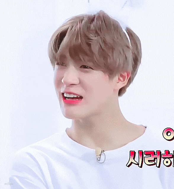 [잡담] 큰방에 내 최애들 심기🐹🐶💚 | 인스티즈