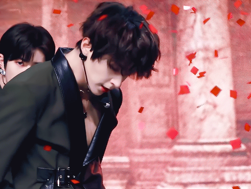 [잡담] 어떤 동물로 보여? | 인스티즈