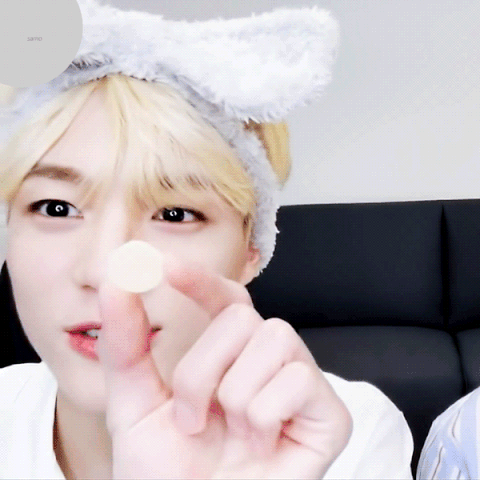 [잡담] 타팬들이 봤을 때 제노는 사모예드 vs 허스키???궁금해 | 인스티즈