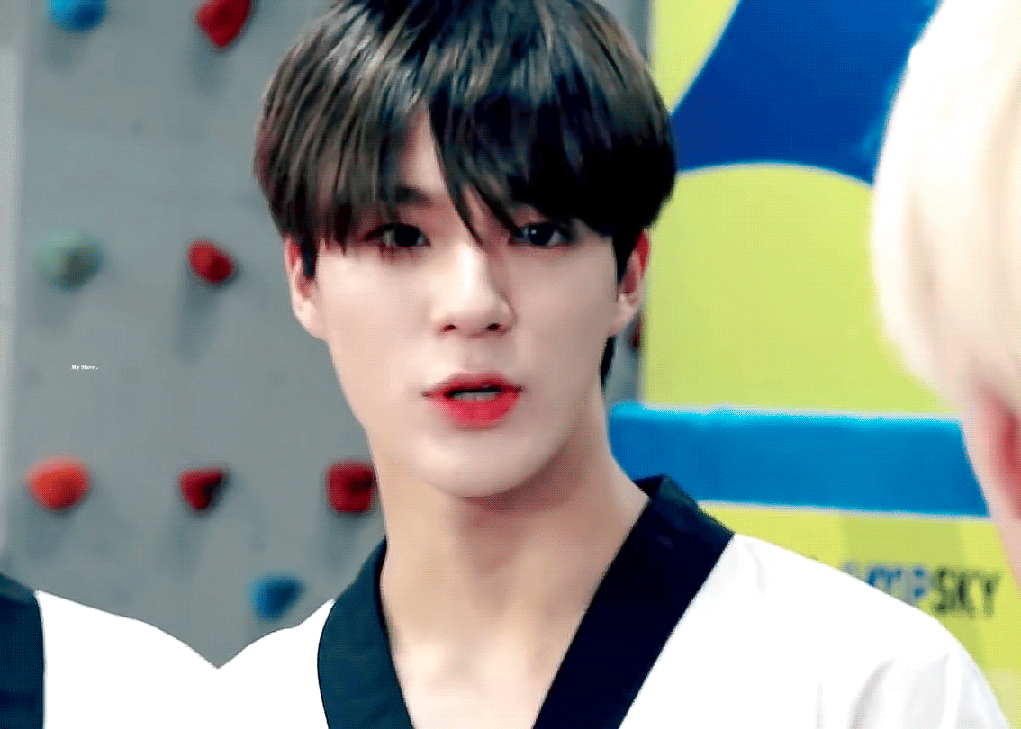 [잡담] 내 취향 어때...소나무같아??아님 낫 소나무?? | 인스티즈