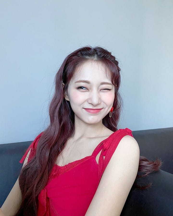 [잡담] 내 최애 닮은 동물도 말해줘 모에화 플맂으 | 인스티즈