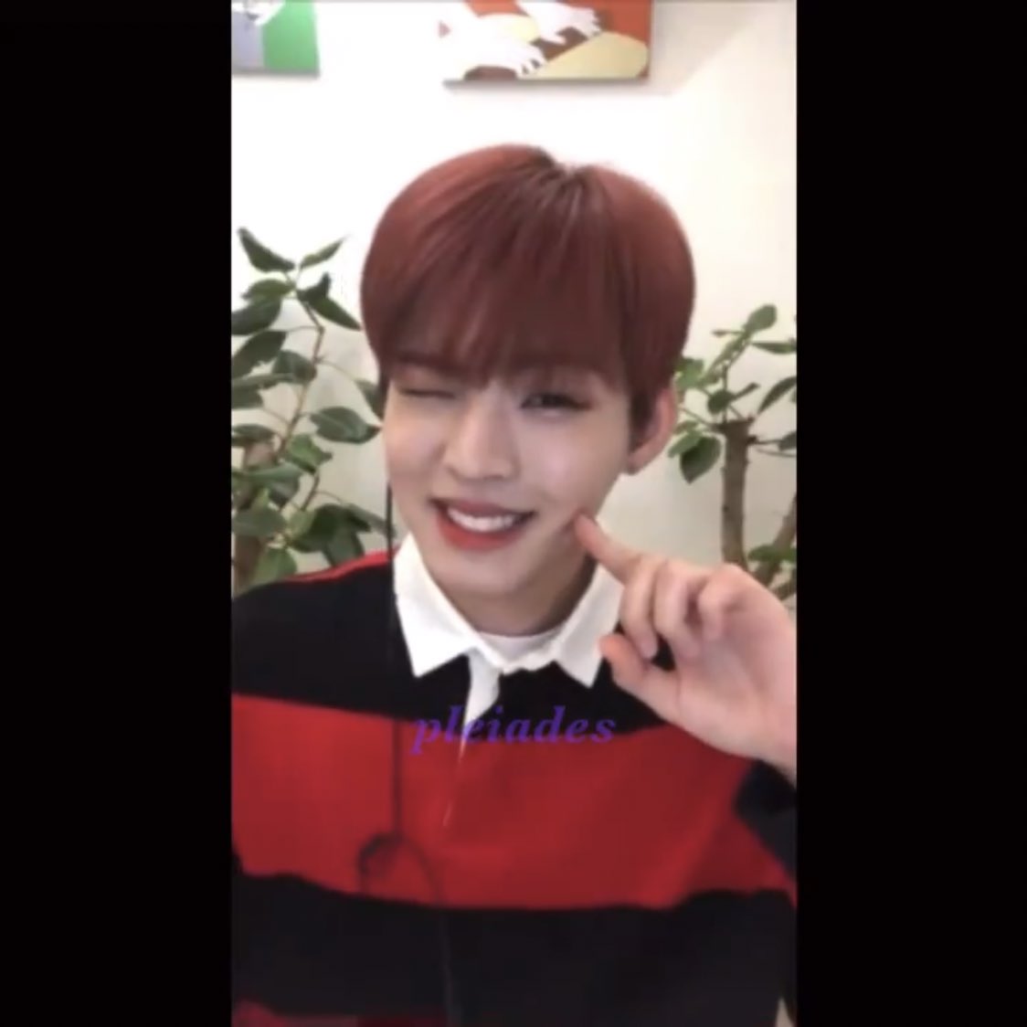 [잡담] 더 이상 참을 수 없습니다 김효진을 삼키려합니다 | 인스티즈