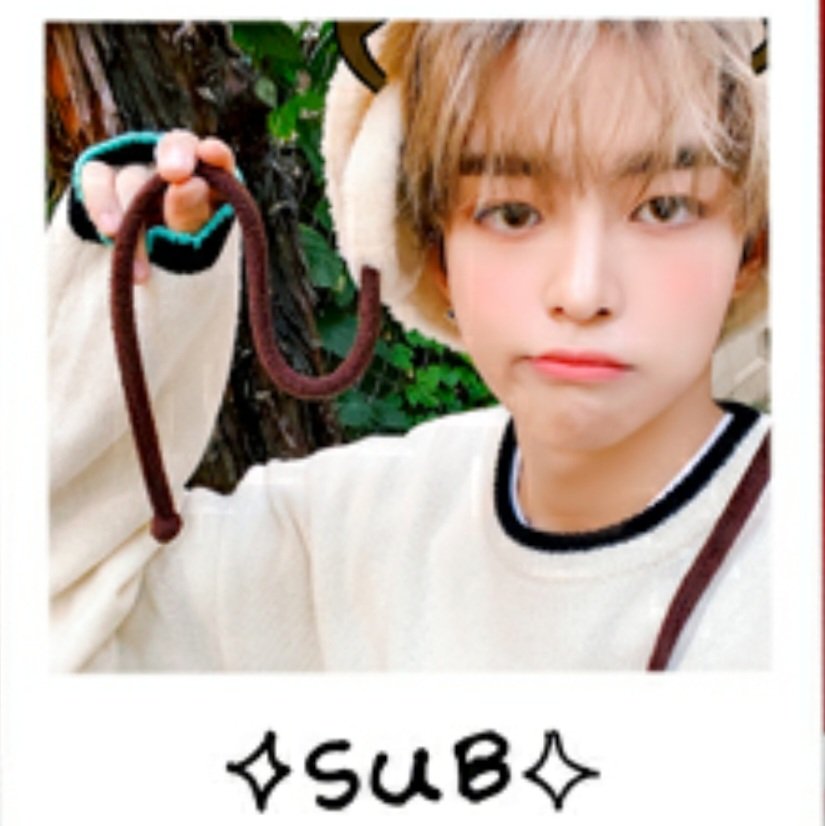 [잡담] 타팬이 보는 최애 해줄 사람! | 인스티즈