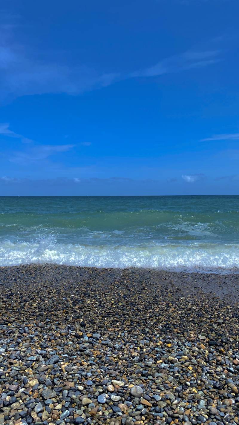 종강기념 직접 찍은 배경화면 공유🐟🐳🦋💙 | 인스티즈