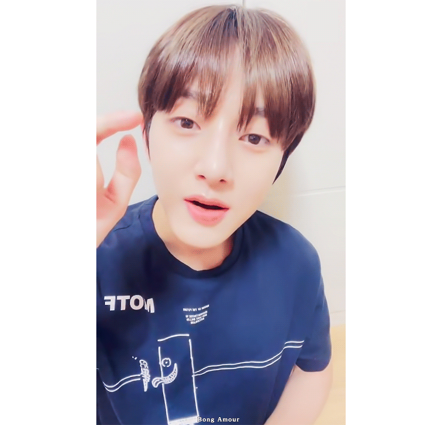 [잡담] 아기코알라 ㅈㅇ골차 | 인스티즈