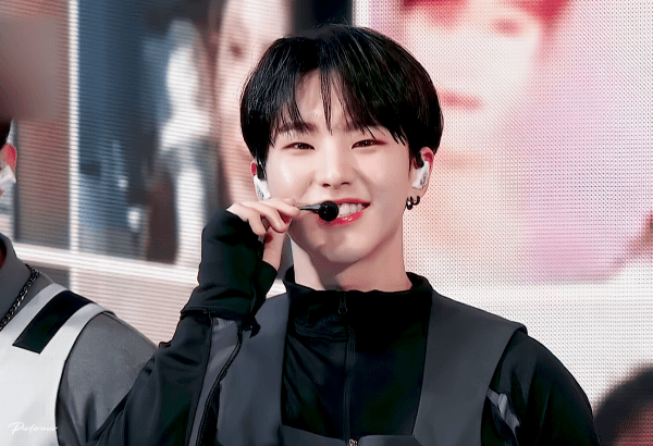 [잡담] 🐯호랑해🐯 뜻 | 인스티즈