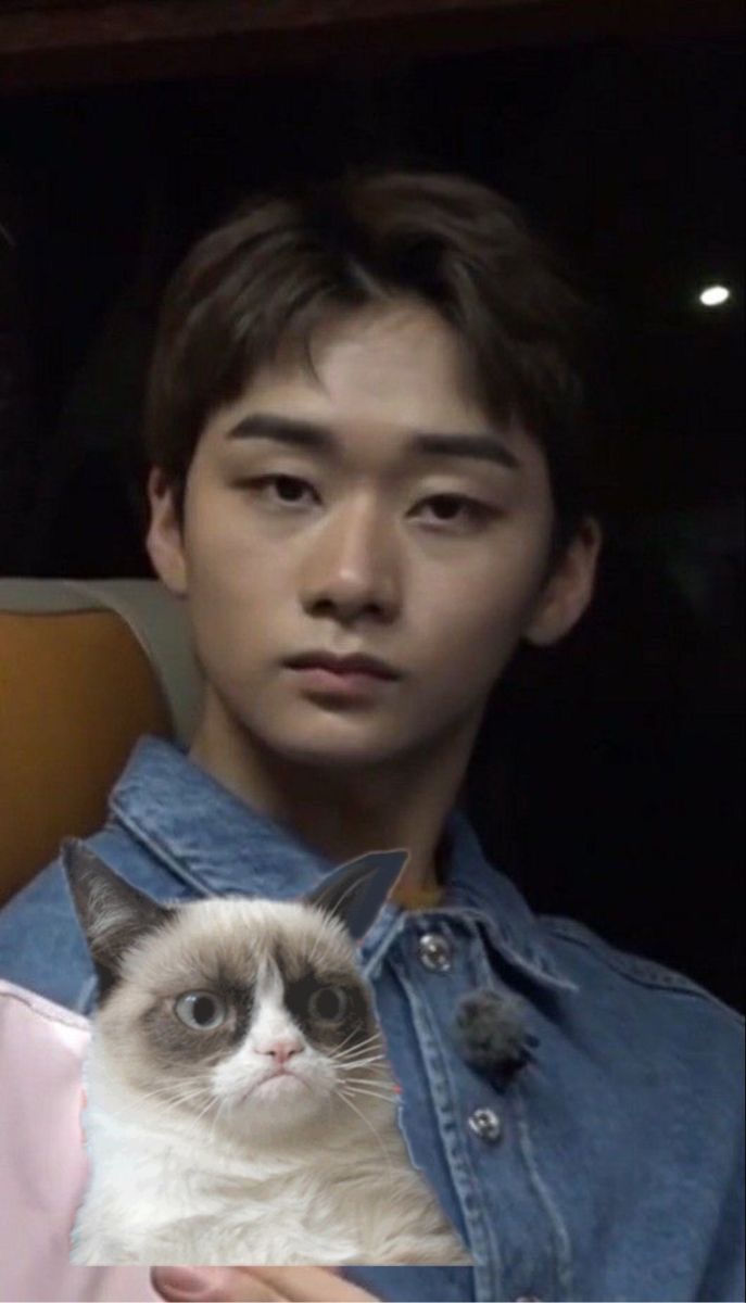 [잡담] 둘다 똑같은 고양이인데 | 인스티즈