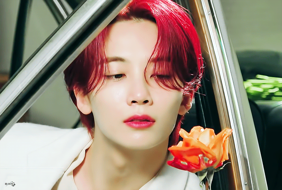 [잡담] 와 세븐틴 하라메 영상에서 정한 얼굴 미쳤네ㅋㅋㅋㅋㅋㅋㅋㅋ | 인스티즈