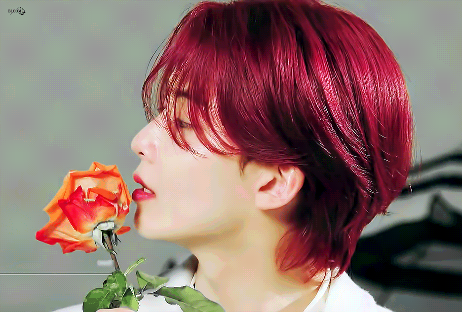 [잡담] 와 세븐틴 하라메 영상에서 정한 얼굴 미쳤네ㅋㅋㅋㅋㅋㅋㅋㅋ | 인스티즈