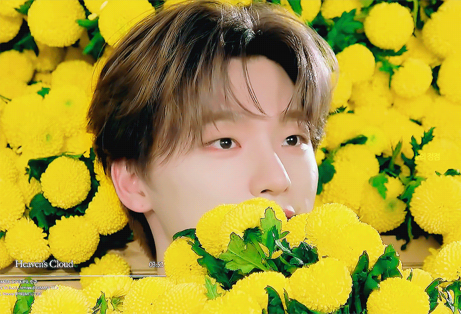 [잡담] 아 나 더 이상은 못참아 | 인스티즈