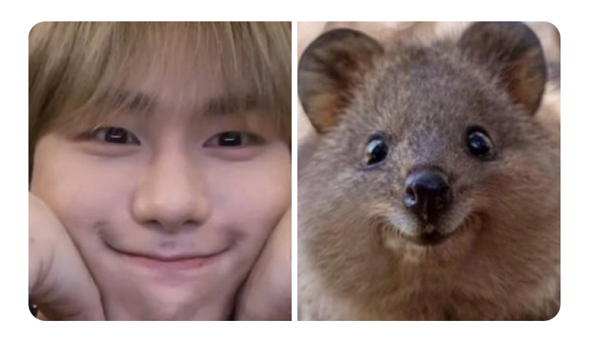 [잡담] 대충 너무 귀여워서 할 말을 잃었다는 •••• | 인스티즈