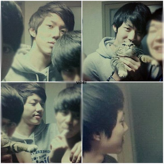 [잡담] 데식 도운 원래 ㄹㅇ 갓반인으로 살았어서 연예인 할 생각 1도 안 했던 게 제일 기가 참 | 인스티즈