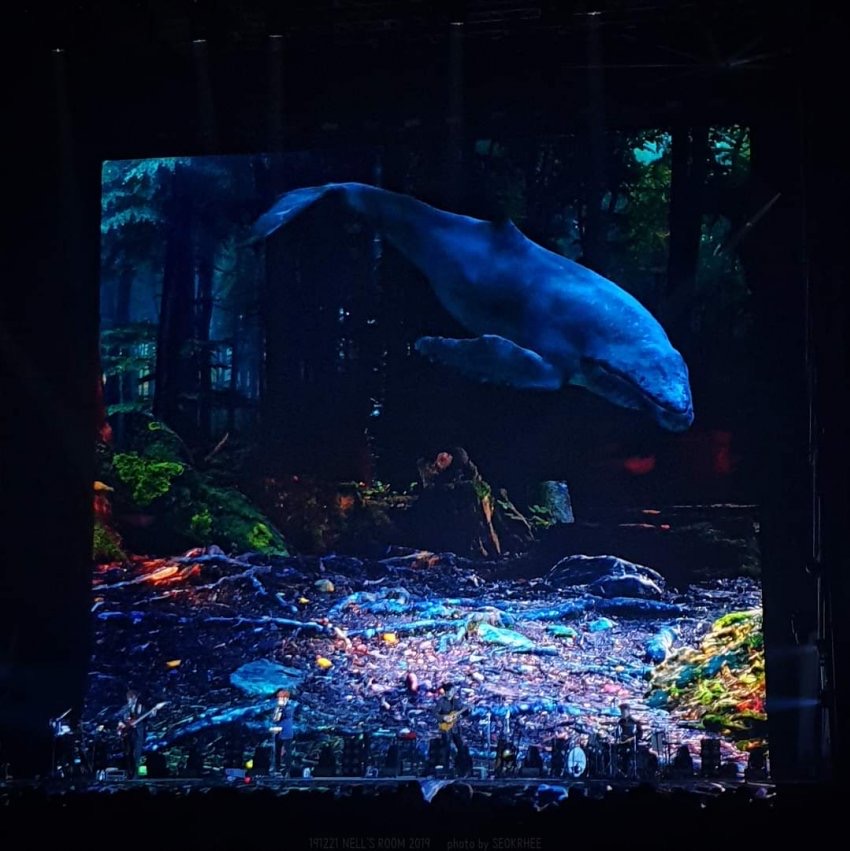 [잡담] 조명 맛집 콘서트 보고 가세요 | 인스티즈