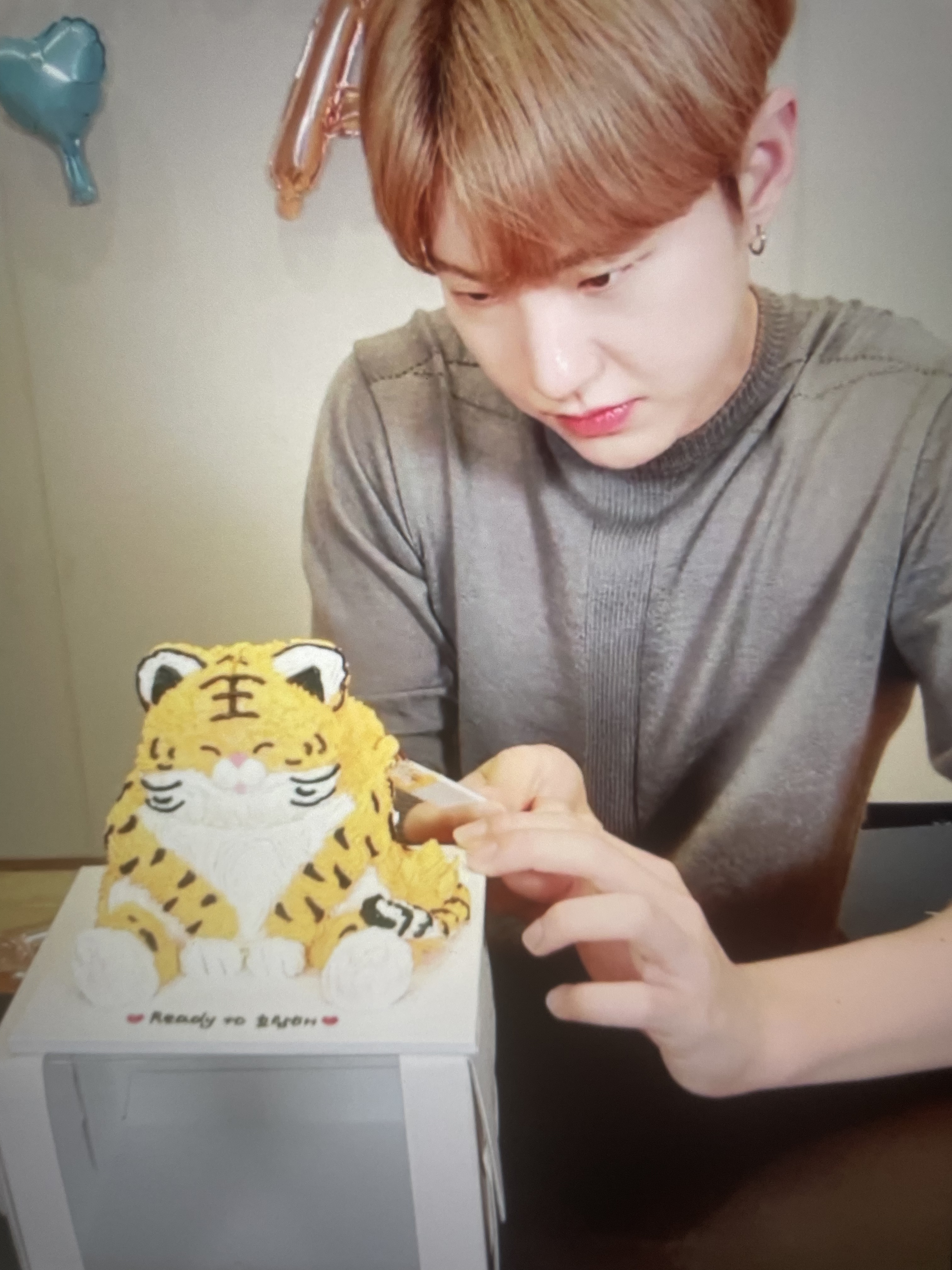 [잡담] 호시한테 다 털려버린 호랑케이크 | 인스티즈