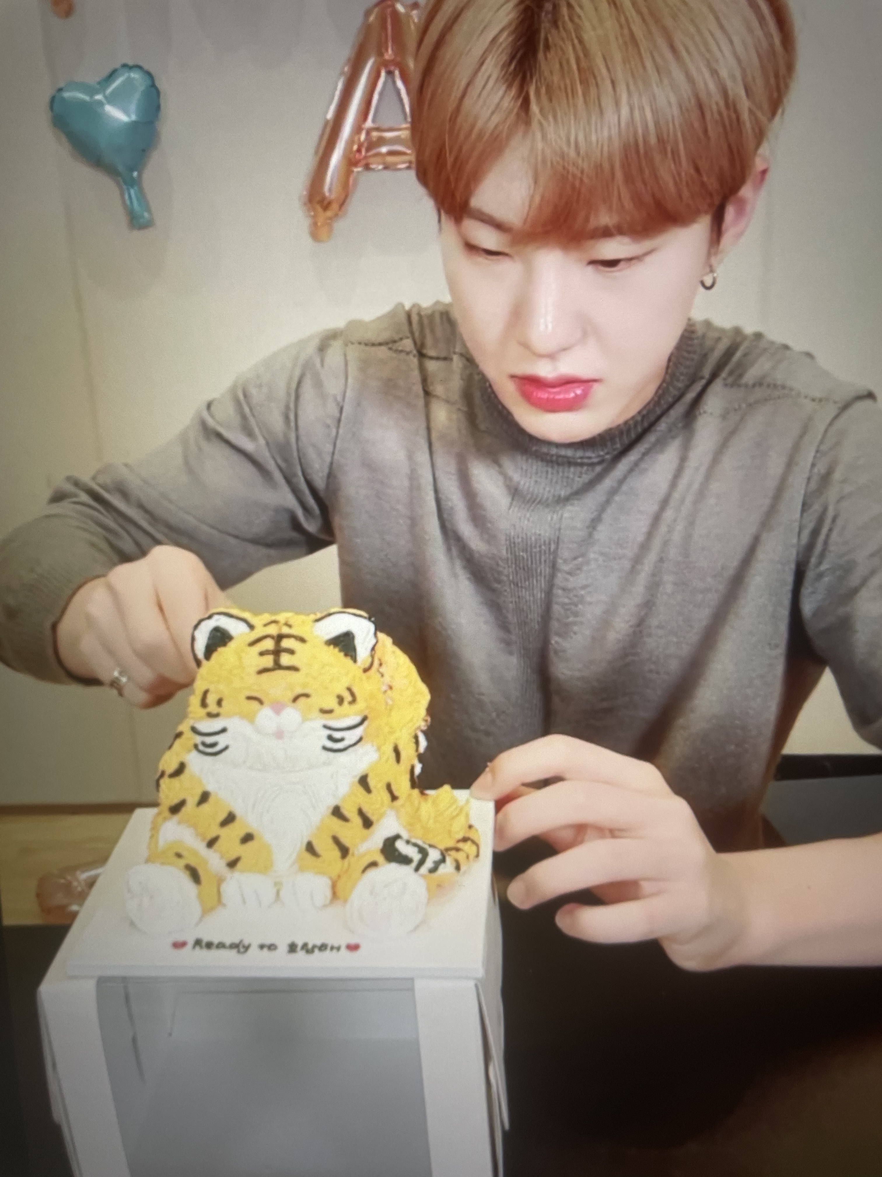 [잡담] 호시한테 다 털려버린 호랑케이크 | 인스티즈