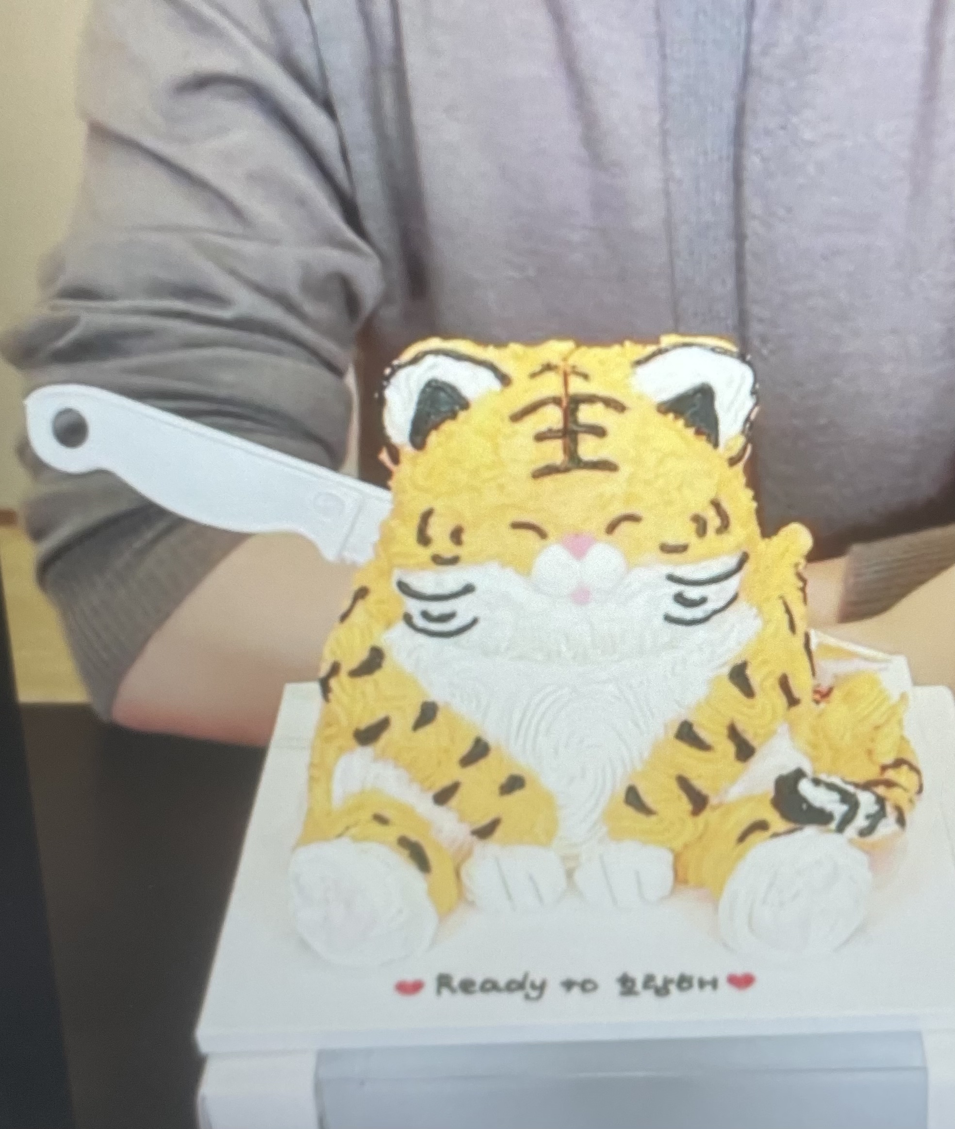 [잡담] 호시한테 다 털려버린 호랑케이크 | 인스티즈