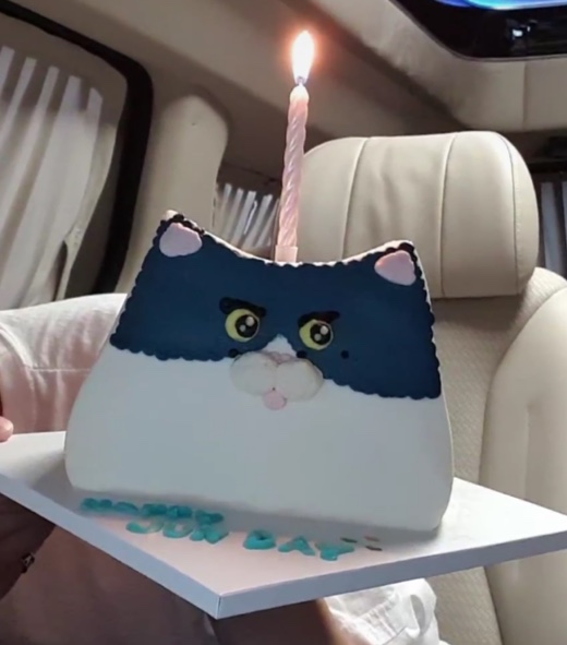 [잡담] 케이크에 진심인 플디가 세븐틴 생일에 해준 케이크 좀 봐봐 | 인스티즈