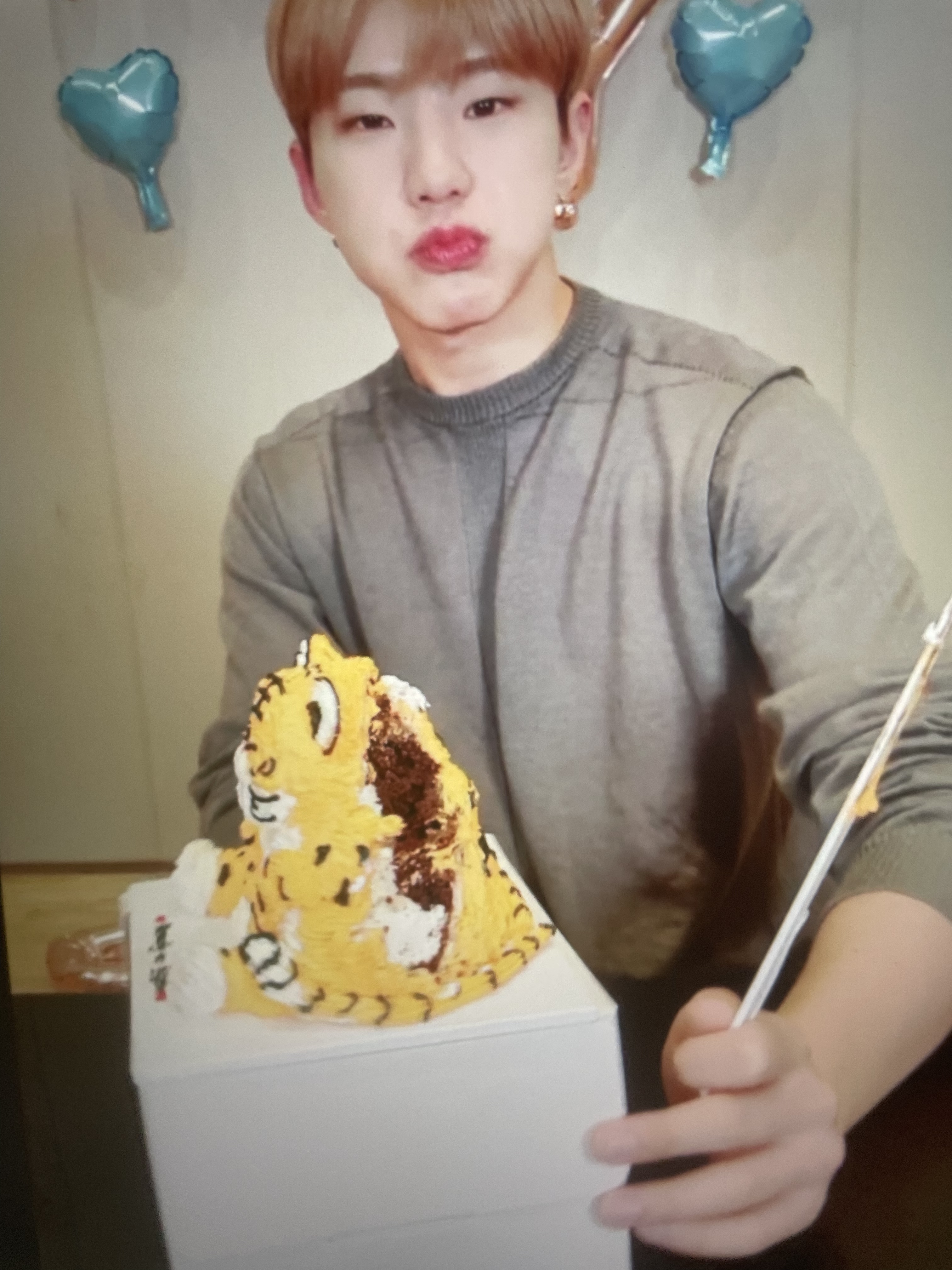 [잡담] 호시한테 다 털려버린 호랑케이크 | 인스티즈